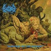 The lyrics MALIGNANT MAGGOT THERAPY of BLOODBATH is also present in the album Survival of the sickest (2022)