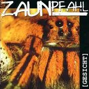 The lyrics SKATEBOARD of ZAUNPFAHL is also present in the album Gesicht (2001)