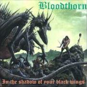 In the shadow of your black wings