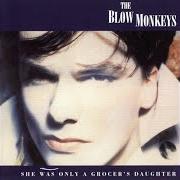 The lyrics SOME KIND OF WONDERFUL of THE BLOW MONKEYS is also present in the album She was only a grocer's daughter (2014)