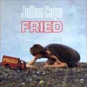 The lyrics ME SINGING of JULIAN COPE is also present in the album Fried (1984)
