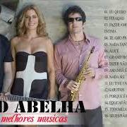 The lyrics NA RUA, NA CHUVA, NA FAZENDA (CASINHA DE SAPÉ) of KID ABELHA is also present in the album Kid abelha - icollection (1997)