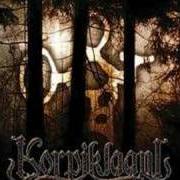 The lyrics HULLUNHUMPPA of KORPIKLAANI is also present in the album Spirit of the forest (2003)