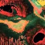 The lyrics GANJA MAN of OS MUTANTES is also present in the album Fool metal jack (2013)