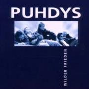 The lyrics WUT WILL NICHT STERBEN of PUHDYS is also present in the album Wilder frieden (1999)