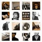 The lyrics MYSTERY TRAIN of BON JOVI is also present in the album Crush (2000)