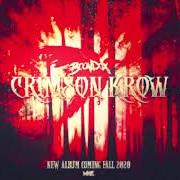 The lyrics REIMAGINE of BOONDOX is also present in the album Krimson crow (2020)