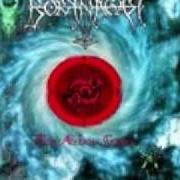 The lyrics WINTER MILLENIUM of BORKNAGAR is also present in the album The archaic course (1999)