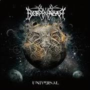 The lyrics FLESHFLOWER of BORKNAGAR is also present in the album Universal (2010)