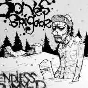 The lyrics DR. DESTROYER of BONES BRIGADE is also present in the album Endless bummer (2006)