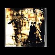 A step from forever A step from forever