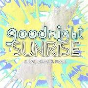 The lyrics WOULDN'T CHANGE A THING of GOODNIGHT SUNRISE is also present in the album Stop, drop, & roll (2009)
