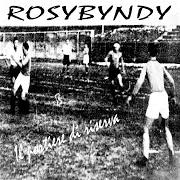 The lyrics ERANO I GIORNI of ROSYBYNDY is also present in the album Il portiere di riserva (2005)
