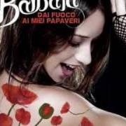 The lyrics L'UOMO AQUILA of BARBARA MONTE is also present in the album Dai fuoco ai miei papaveri (2008)