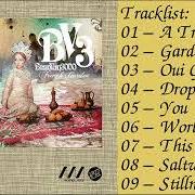 The lyrics DROP OFF of BRAN VAN 3000 is also present in the album The garden (2010)