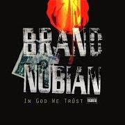 The lyrics MEANING OF THE 5% of BRAND NUBIAN is also present in the album In god we trust (1993)