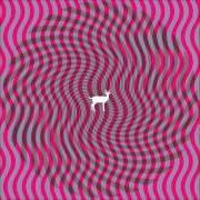 The lyrics STRANGE LIGHTS of DEERHUNTER is also present in the album Cryptograms (2007)