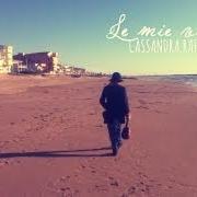 The lyrics FORSE CI SIAMO of CASSANDRA RAFFAELE is also present in the album La valigia con le scarpe (2014)