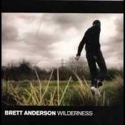 The lyrics BLESSED of BRETT ANDERSON is also present in the album Wilderness (2008)