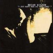 The lyrics DO IT AGAIN of BRIAN WILSON is also present in the album I just wasn't made for these times (1995)