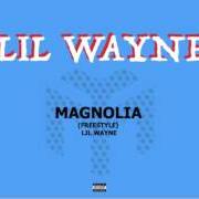 The lyrics MAGNOLIA of LIL' WAYNE is also present in the album In tune we trust (2017)