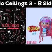 The lyrics THESE HOES of LIL' WAYNE is also present in the album No ceilings 3 [b-side] (2020)