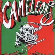 The lyrics AMIGO AH of LES CAMÉLÉONS is also present in the album Viva la fiesta (1995)