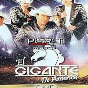 The lyrics EL GALLO of BRONCO is also present in the album Por ti (2005)