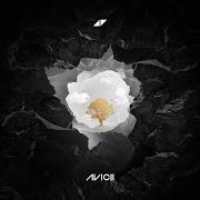 The lyrics LONELY TOGETHER of AVICII is also present in the album Avici (01) (2017)