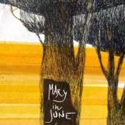 The lyrics IN FONDO AL MARE of MARY IN JUNE is also present in the album Ferirsi (2011)