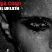 The lyrics TRISTAN of ANNA CALVI is also present in the album One breath (2013)