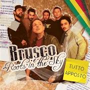 The lyrics UN AMORE A 2 STELLE of BRUSCO is also present in the album Tutto apposto (2013)