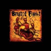 The lyrics NO ONE IS LISTENING of BRUTAL FIGHT is also present in the album Our merciful father (2005)