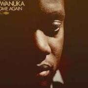 The lyrics WORRY WALKS BESIDE ME of MICHAEL KIWANUKA is also present in the album Home again (2012)