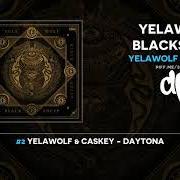 Yelawolf blacksheep