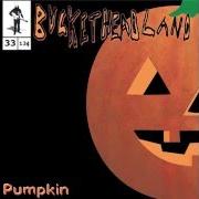 The lyrics PUMPKIN PIKES 11 of BUCKETHEAD is also present in the album Pumpkin (2013)