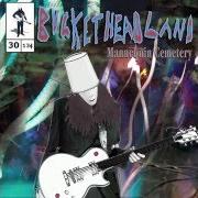 The lyrics HAT THAT SMELLS LIKE AN OLD BOOKSTORE of BUCKETHEAD is also present in the album Mannequin cemetery (2013)