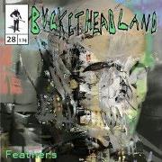 The lyrics LAKE WHISPERER of BUCKETHEAD is also present in the album Feathers (2013)