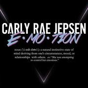 The lyrics NEVER GET TO HOLD YOU of CARLY RAE JEPSEN is also present in the album E·mo·tion (2015)