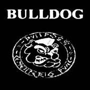 The lyrics ANTECEDENTES POLICIALES of BULLDOG is also present in the album Cementerio punk (1991)