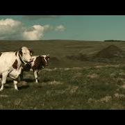 L'amour sera toujours dans nos prés L'amour sera toujours dans nos prés