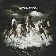 The lyrics LIKE PEOPLE, LIKE PLASTIC of AWOLNATION is also present in the album Run (2015)