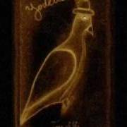 Tree of life Tree of life