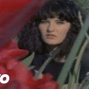 Through the night Through the night