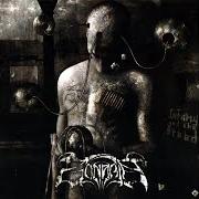 The lyrics EVERYTHING IS WASTELAND of ZONARIA is also present in the album Infamy and the breed (2007)