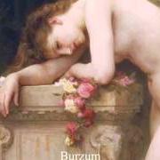 The lyrics ENHVER TIL SITT of BURZUM is also present in the album Fallen (2011)