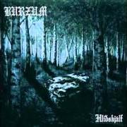 The lyrics ANSUZGARDARAIWO of BURZUM is also present in the album Hlidskjalf (1999)