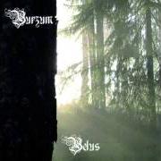 The lyrics BELUS' TILBAKEKOMST (KONKLUSJON) of BURZUM is also present in the album Belus (2010)