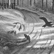 The lyrics TOMHET (LEERE) of BURZUM is also present in the album Hvis lyset tar oss (1993)