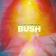 The lyrics NURSE of BUSH is also present in the album Black and white rainbows (2017)